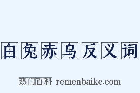 白兔赤乌反义词是什么意思的图片